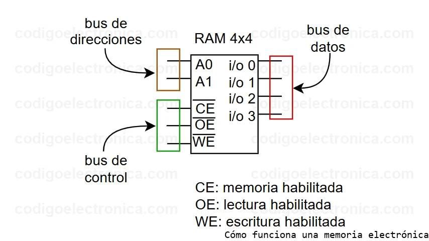 Memoria electrónica buses de datos