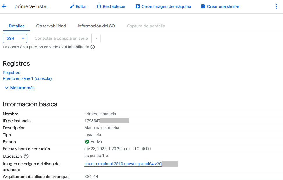 Detalle de la instancia creada