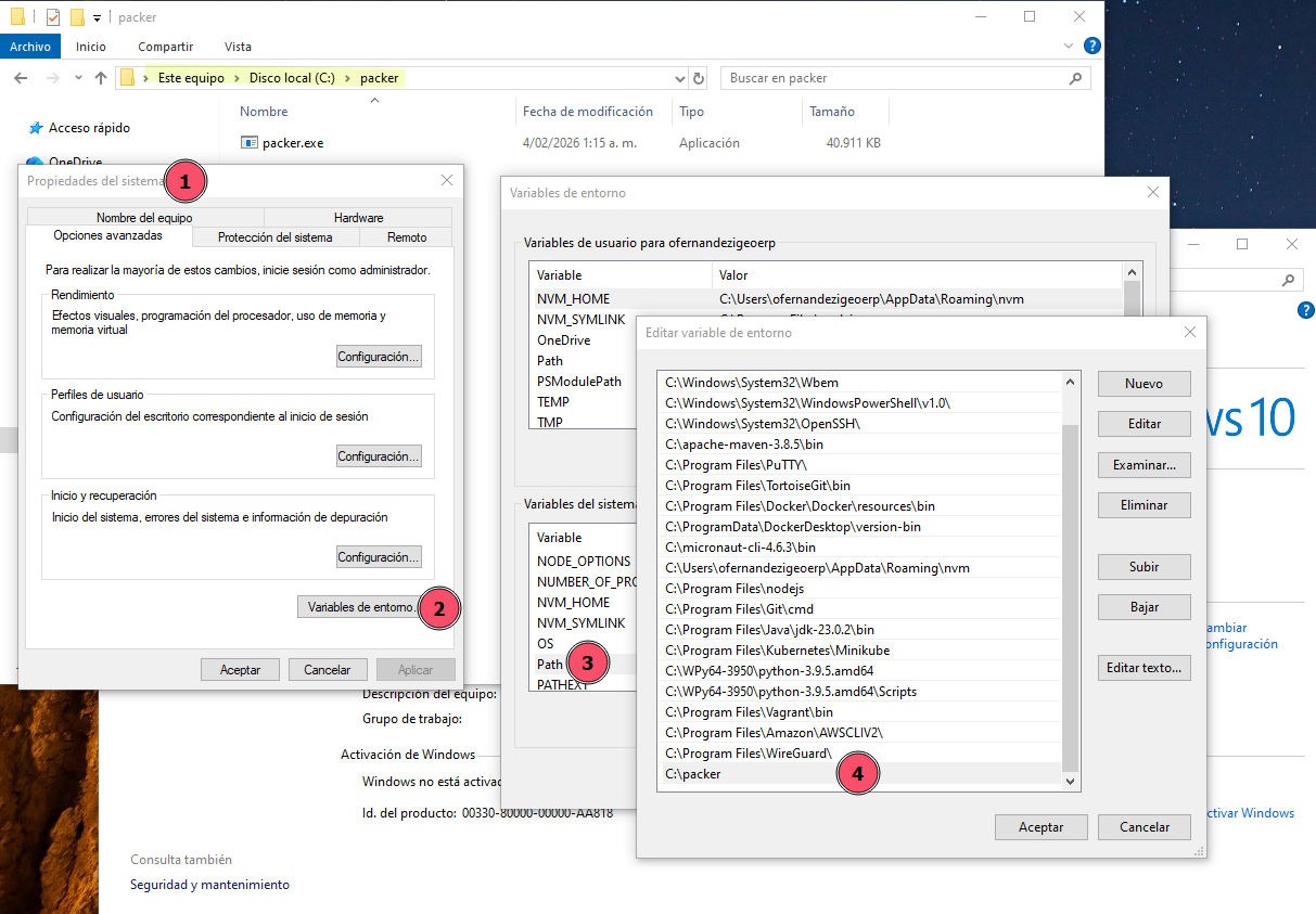 Registrar packer en variable entorno